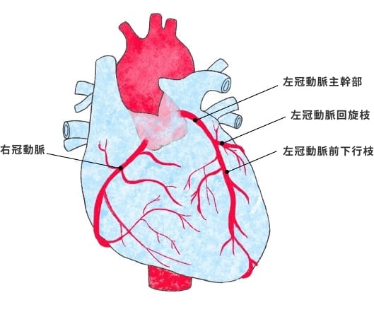 冠動脈バイパス術（CABG)｜順天堂医院 心臓血管外科